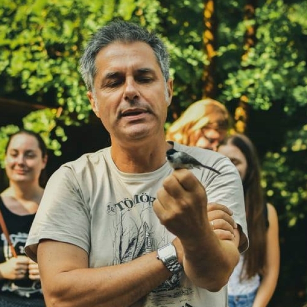 Illés Péter Illés Péter